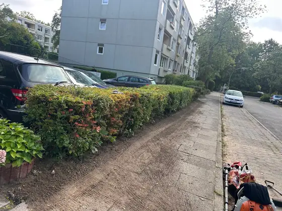 Frisch geschnittene Hecke an einem Gehweg vor Wohnblocks, davor ein frei geräumter Erdstreifen